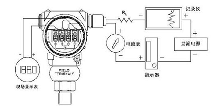 11.bmp